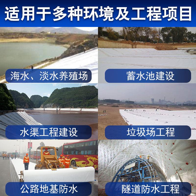 复合土工膜两布一膜土工布防水防渗膜鱼塘鱼池专用养殖防渗土工膜图片