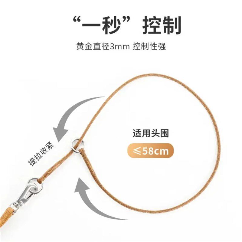 比赛P绳宠物牵引绳狗绳子P链训犬狗链金毛萨摩边牧大中型小犬项圈