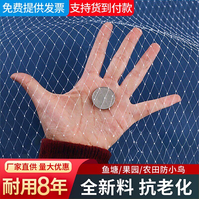 防鸟网果树果园专用网罩尼龙防乌鱼塘樱桃树防护网防小鸟的网