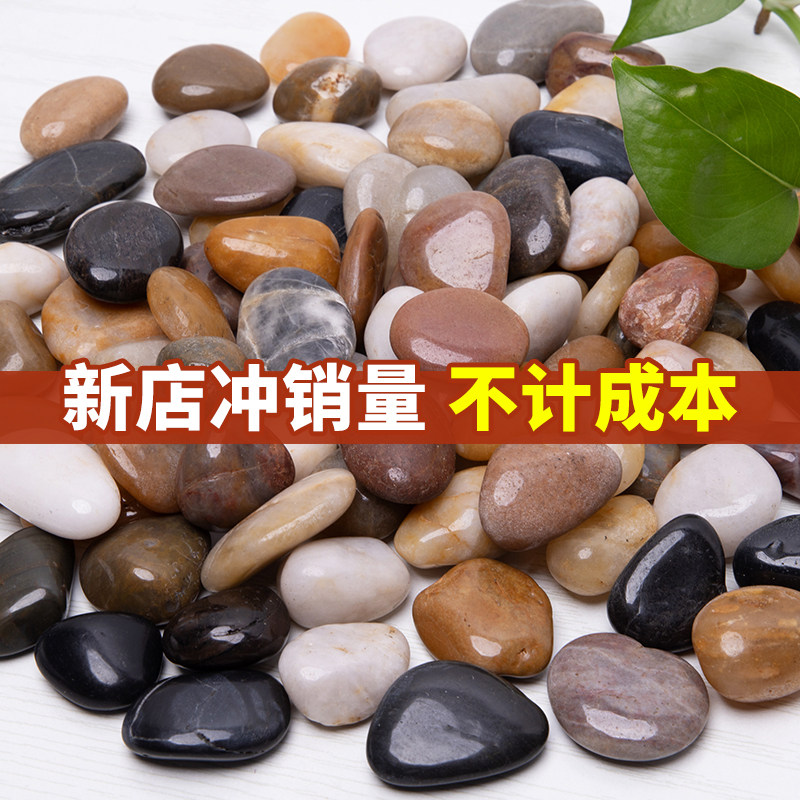 50斤天然鹅卵石别墅庭院步道铺路鱼缸底部造景五彩色雨花台原石子