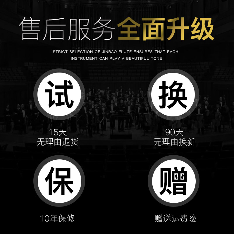 津宝长笛乐器小学生儿童16/17孔c调白铜镀银初学演奏考级吹管乐器