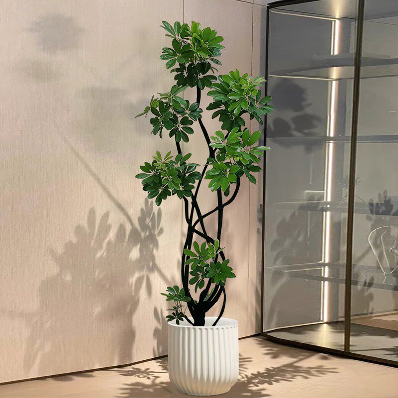 造型鸭脚木客厅大盆栽造型大型绿植室内好养吸甲醛客厅八方来财