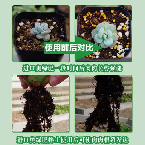 进口奥绿肥A2缓释肥料318S颗粒肥315S多肉球根月季兰花石斛植物