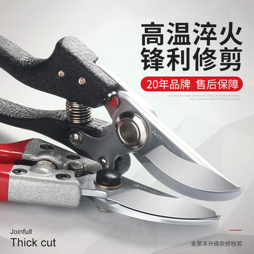 剪枝剪刀果树剪子修剪树枝剪刀强力修花剪园艺剪刀花卉园林修枝剪
