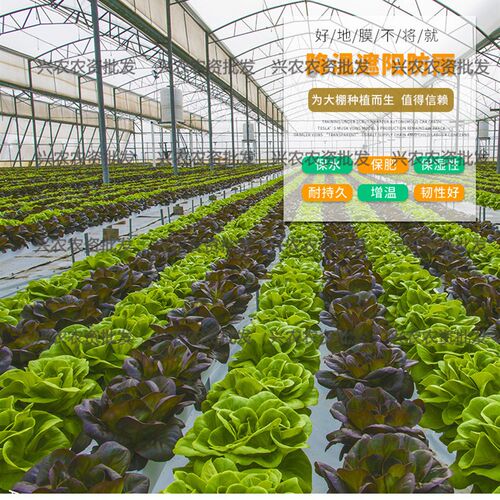 小纸筒塑料膜薄膜工程膜农用白色地膜加厚除草专用蔬菜果树苗保温