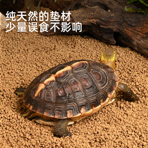 黄缘龟缸造景专用泥沙安缘赤玉土爬宠角蛙守宫饲养箱保湿垫材用品