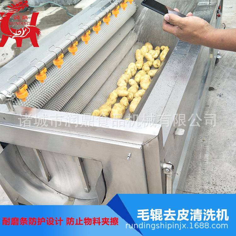小型果蔬清洗消毒去农残留备 省芋头清洗去皮去杂机 300药水省设