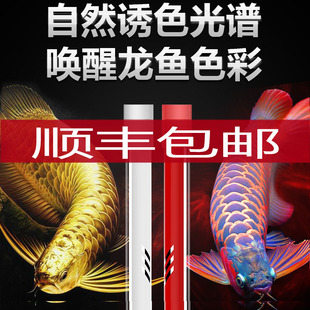 马印红龙金龙发色灯专用防水鱼缸灯侧灯诱色潜水增色灯水中灯NEC