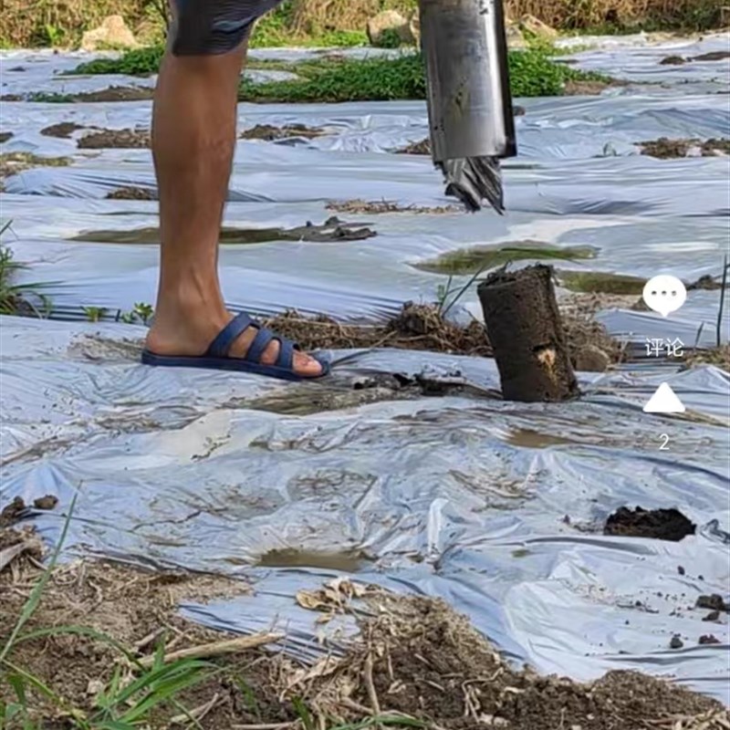 百香果挖树苗不锈钢移苗器双杆大脚蹬果树移栽多功能大口径起打孔