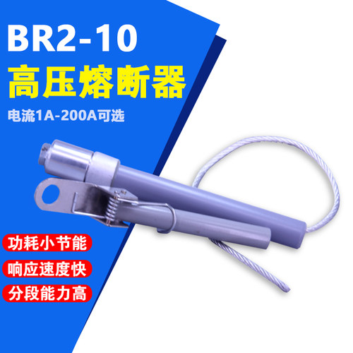 BR2-10电容式高压限流熔断器10KV50 80A BR2W-7 BRW3保险管3-200P