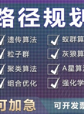 matlab路径规划遗传蚁群粒子群算法代做Python强化学习多目标优化