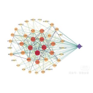 转录因子DNA结合位点分子对接可视化
