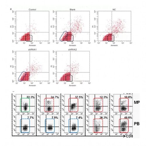 Pubpeer图片查重科研科学SCI检测生物医学流式细胞实验图片误用