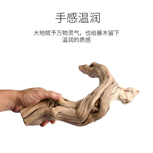 爬宠饲养箱造景藤木雨林水陆缸生态藤条藤蔓爬虫蜥蜴蛇箱景观素材