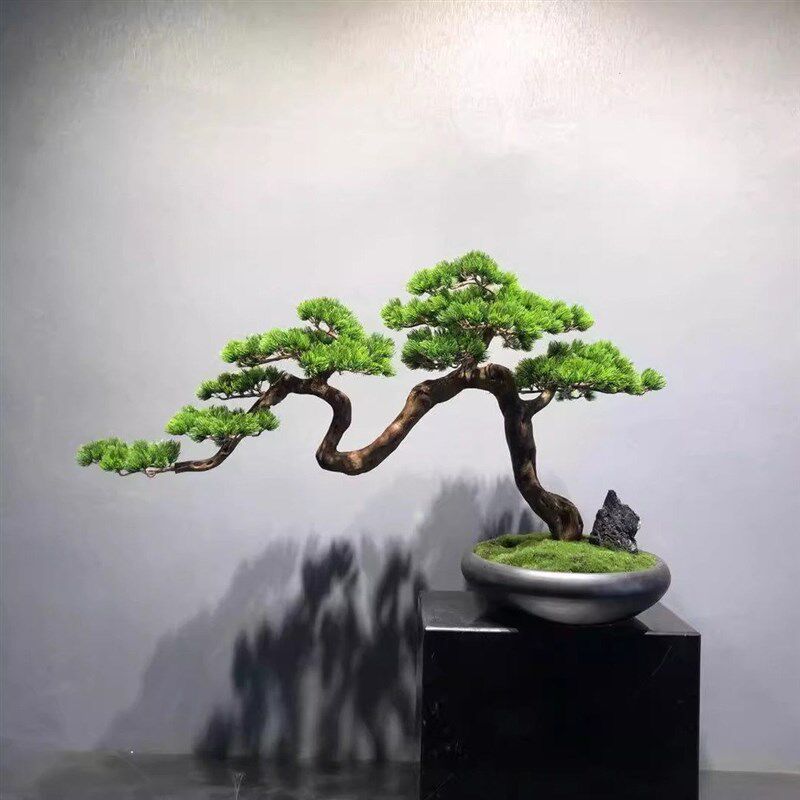 仿真迎客松盆景假树新中式罗汉崖柏绿植造景客厅家居玄关装饰摆件