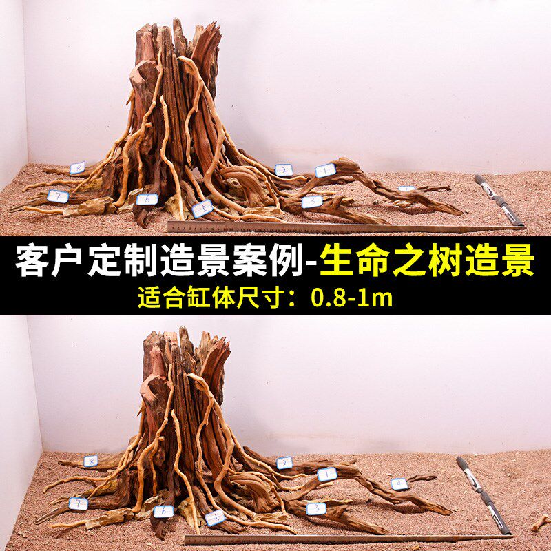 鱼缸造景沉木树桩生命之树骨架定制天然木头南美缸树根树洞紫柚木