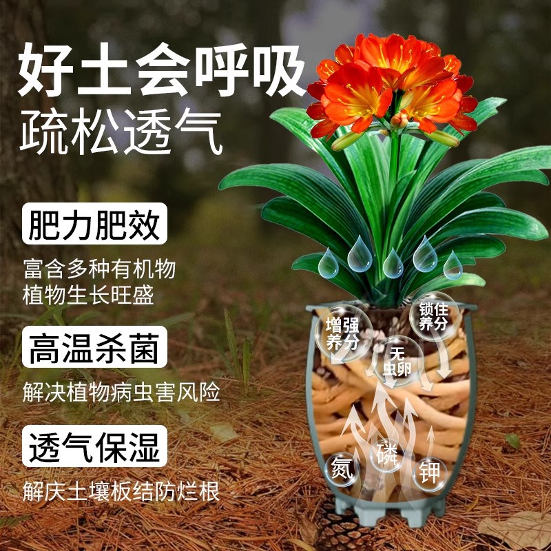 松针腐殖土营养土腐叶土腐熟发酵君子兰兰花专用土泥炭土养花通用