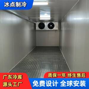 20尺集装箱冷库40尺集装箱冷库保鲜库可直接海运接电即用
