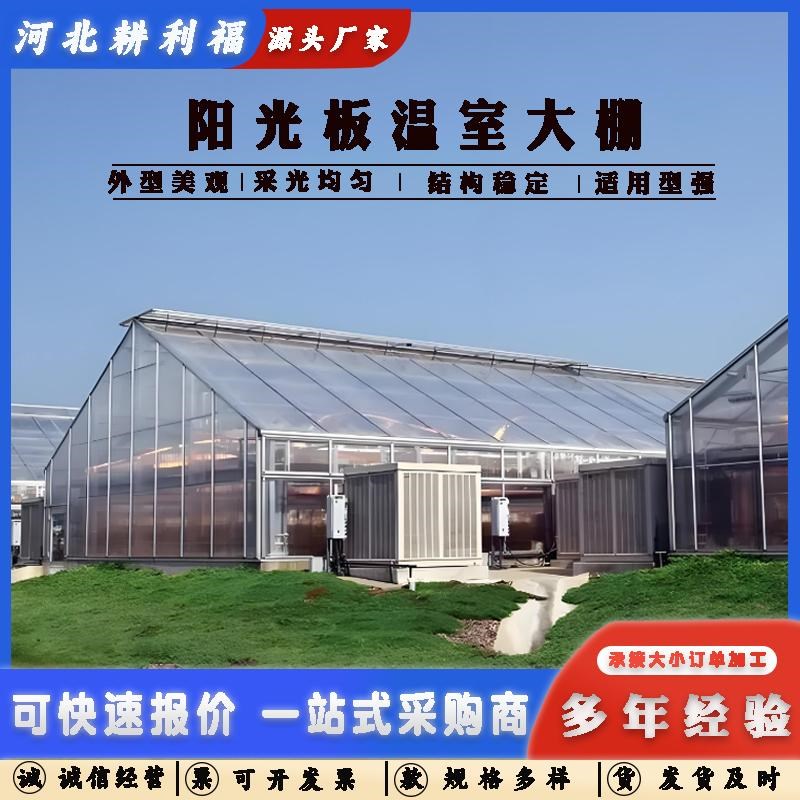 智能玻璃温室大棚 连栋温室阳光板骨架农业设施大棚