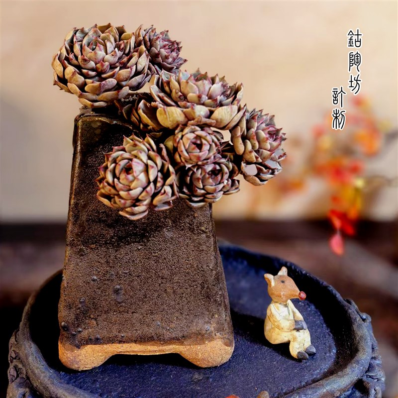 小方盆金子塔大气小盆景花盆复古多肉兰花轻奢高级感家用小口径盆