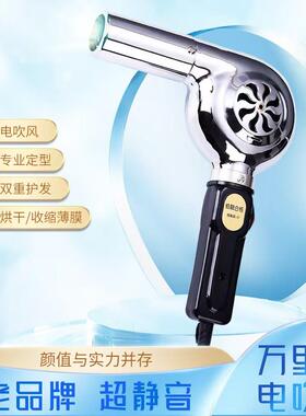 定型机无声新娘化妆电吹风专业沙龙恒温护发450W冷热风造型吹风机