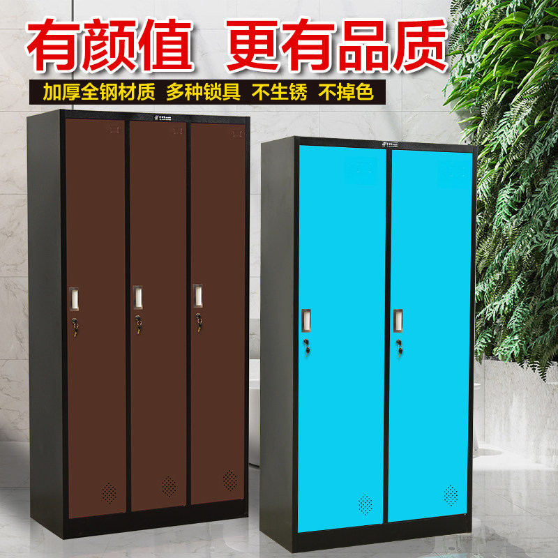 铁皮柜更衣柜家用储物柜带锁员工柜宿舍衣柜更衣室挂衣柜二门衣橱