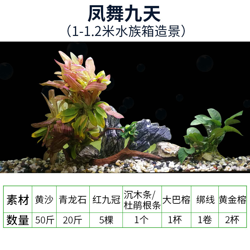 大鱼缸装饰造景套餐1-1.2米金鱼草缸天然真水草活体假山石头沉木