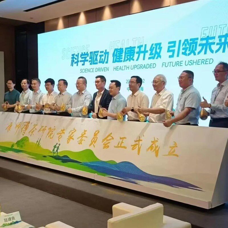 江浙沪开幕式启动仪式道具租赁推杆全息3d仪式启动球鎏金沙启动道