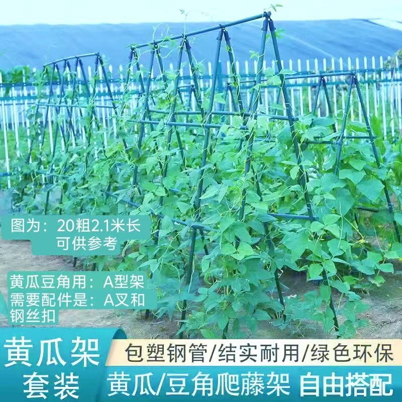 攀爬架植物爬藤架包塑钢管黄瓜豆角番茄百香果葡萄架菜园搭架