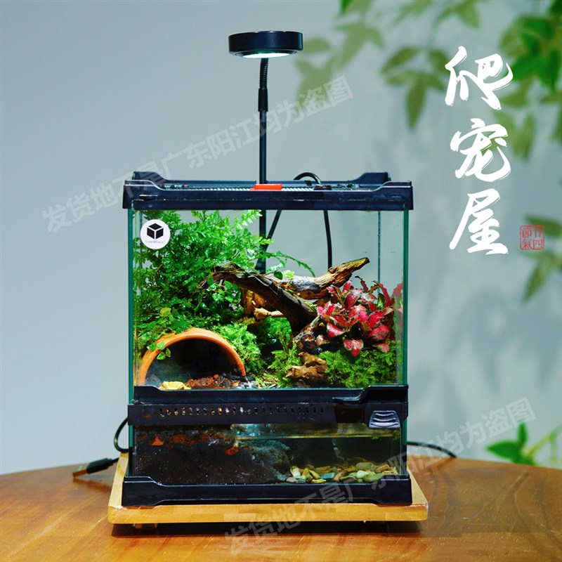 苔藓微景观雨林缸生态瓶桌面绿植创意水陆生态缸植物森林成品造景