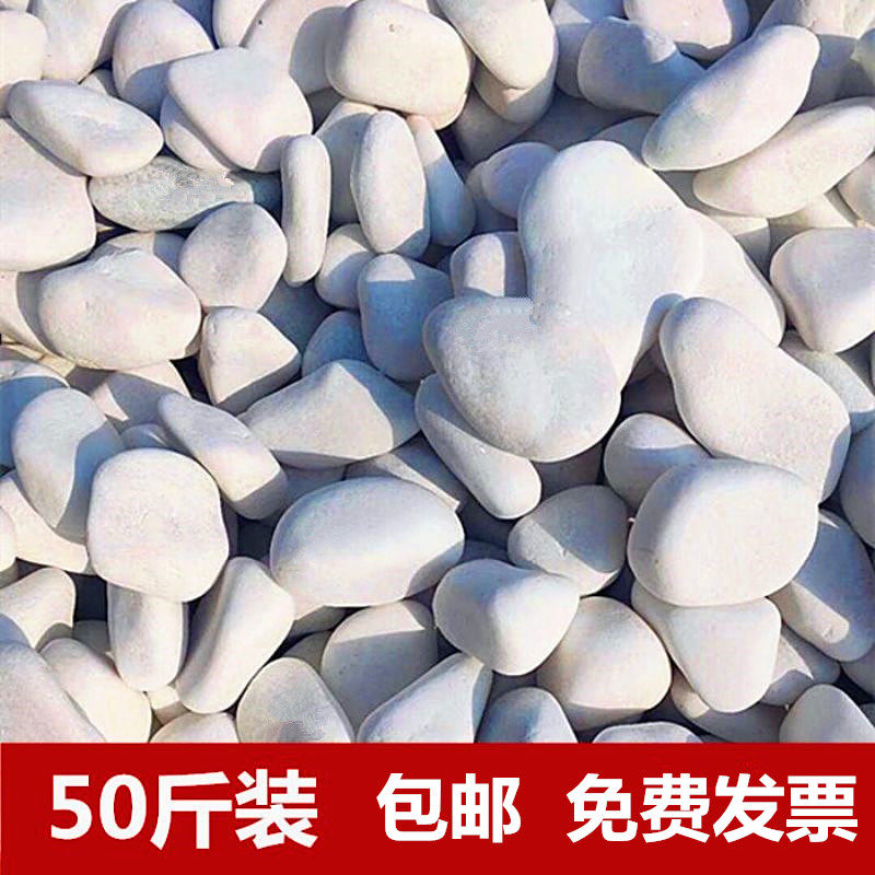 白石子白色石头50斤园林绿化造景石头鹅卵石庭院铺路铺地小白石头图片
