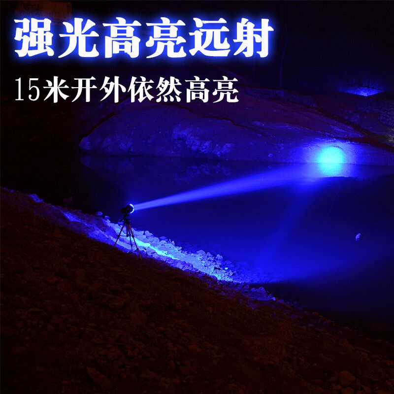 强光充电超亮蓝光大功率钓鱼灯夜钓灯紫光手电筒台钓紫光头灯钓具