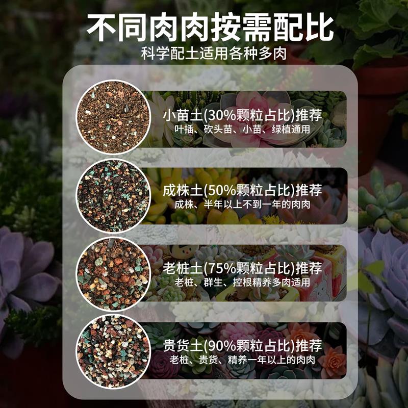 多肉营养土颗粒专用土壤种植多肉土养花通用型泥炭植物花土铺面石