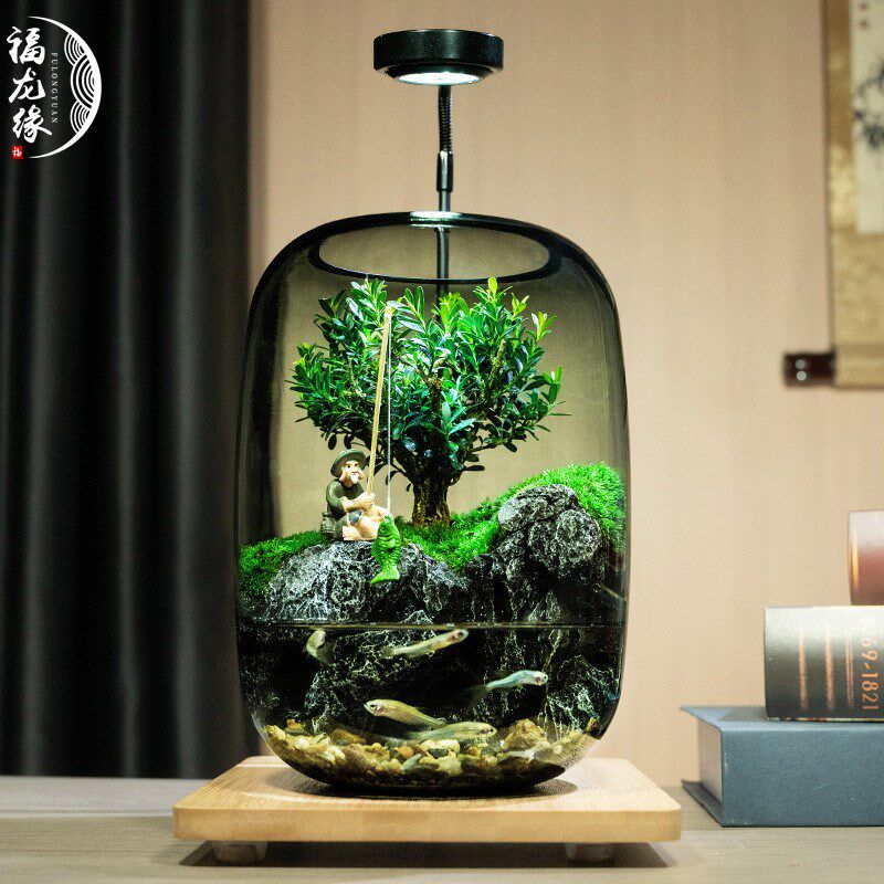 网红爆款苔藓微景观办公室创意玻璃绿植生态缸鱼缸装饰桌面摆件
