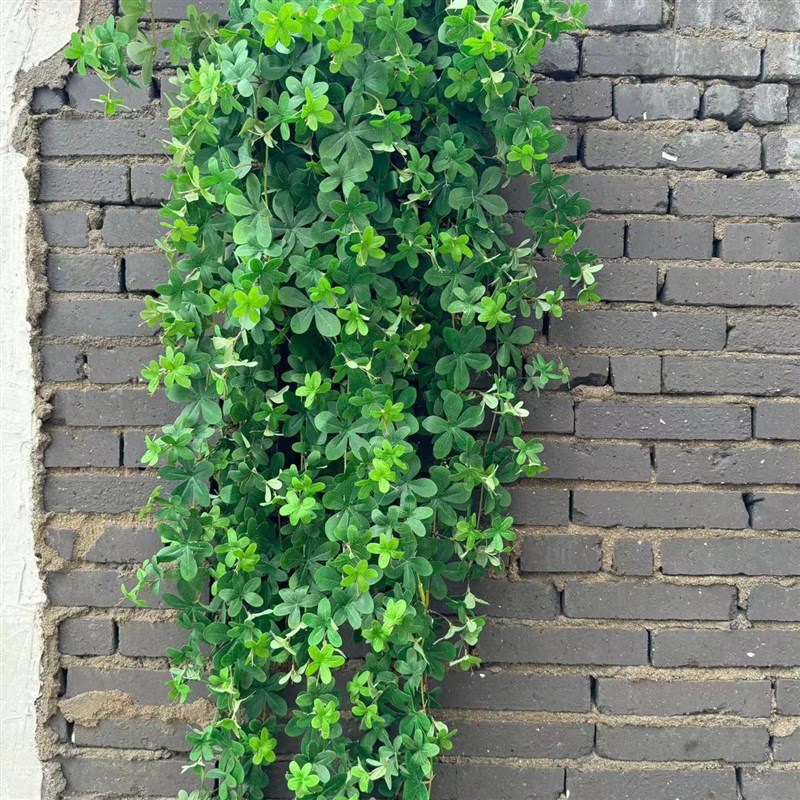 仿真招财叶藤条壁挂垂吊花塑料藤蔓植物绿植吊篮绿叶墙面装饰藤条图片
