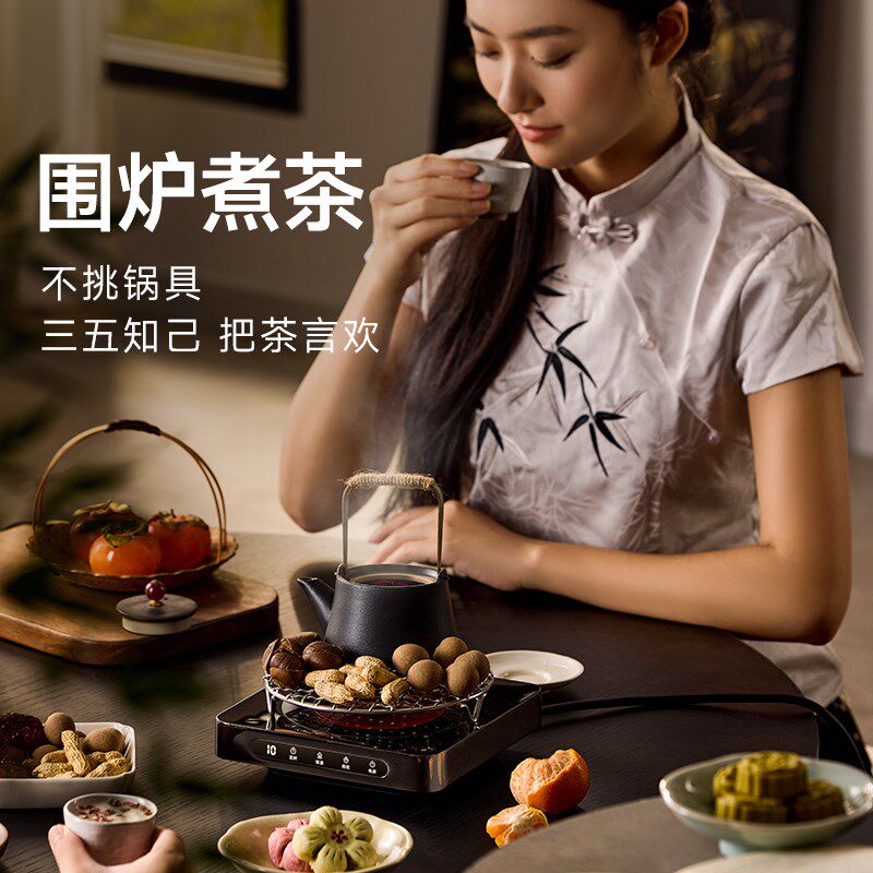 施诺布电陶炉迷你煮茶器泡茶家用小型玻璃电磁炉围炉煮茶电茶炉