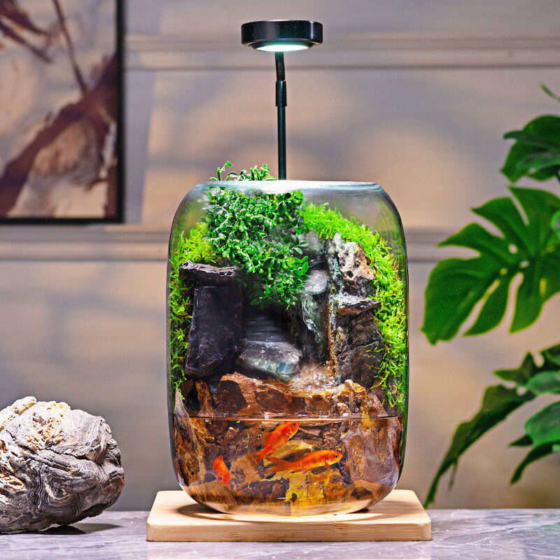 石上清泉流水款养鱼缸真植物苔藓微景观生态瓶办公室成品室内送礼