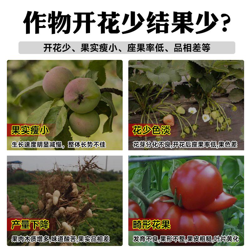 进口保花保果催花保花授粉座果灵促花叶面肥水溶肥果树蔬菜农用肥
