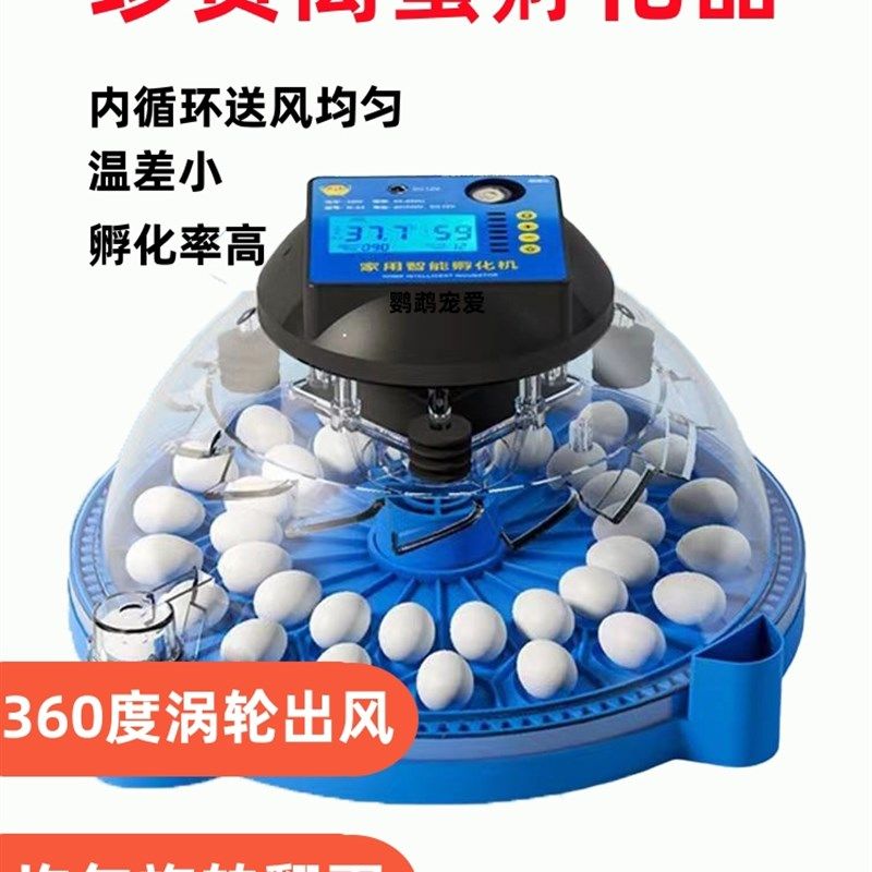 小飞碟孵化机小型家用全自动智能高端孵化器鹦鹉鸽子鹌鹑鸟蛋孵蛋