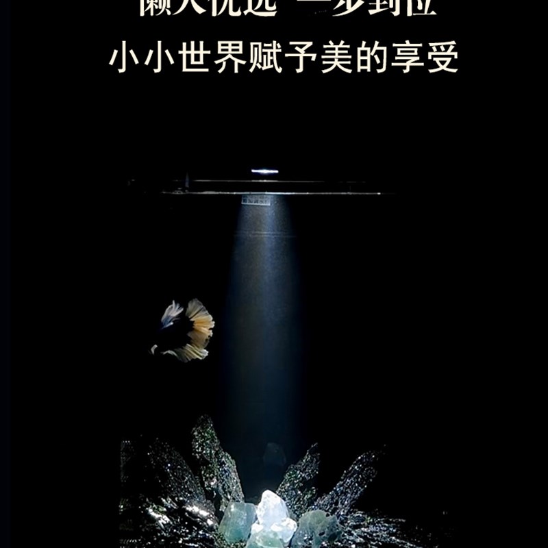 小智世界海底星空桌面迷你小型造景鱼缸定制全套生态循环缸免换水