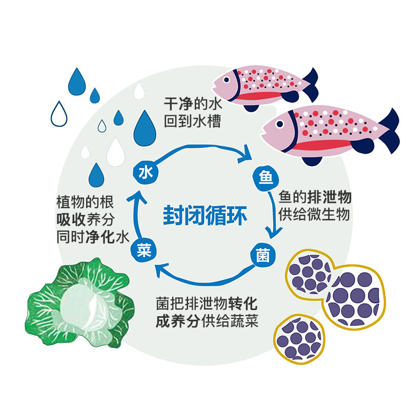 斗鱼鱼缸装饰造景小型创意家用生态鱼菜共生懒人免换水包邮