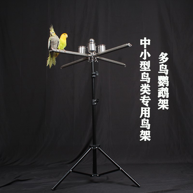 虎皮牡丹玄凤四鸟鹦鹉站架 中小型不锈钢鸟架饲养架子中小型鹦鹉