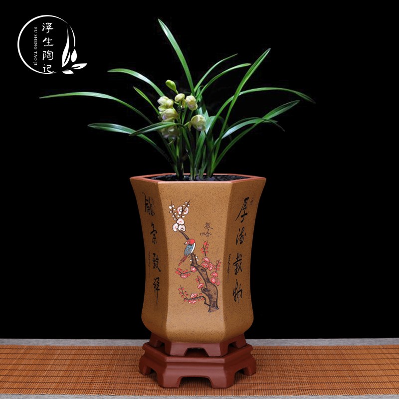 宜兴紫砂兰花盆建兰蕙兰栽室内带托盘桌面精品君子兰六方束腰点彩