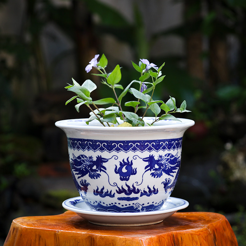 特大号青花瓷盆景德镇陶瓷花盆带托盘透气花卉绿植盆栽盆特价清仓图片