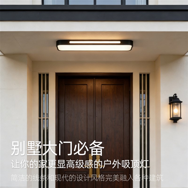 室外房檐长条灯别墅大门口自建房入户门厅阳台走廊防潮防虫吸顶灯