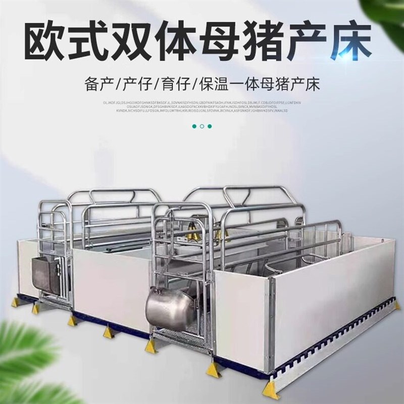 新款单双体欧式母猪产床复合漏粪板母猪栏落地式母猪定位栏产床