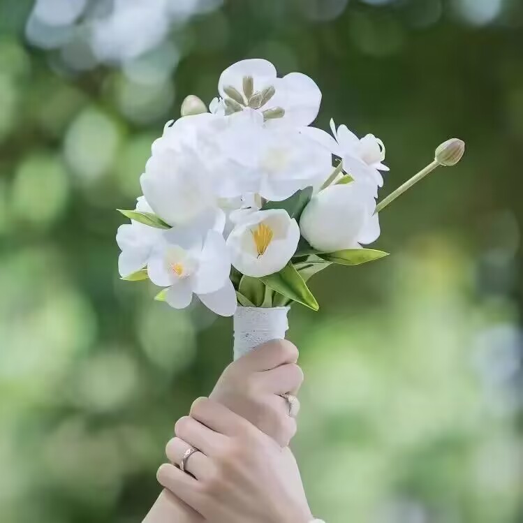 小苍兰花仿真花束领证手捧花森系登记拍照道具领证简约高级仿真花