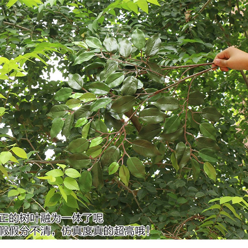 彷真榕树叶子室外防晒抗UV塑料榕树枝绿色植物假树枝工程装饰
