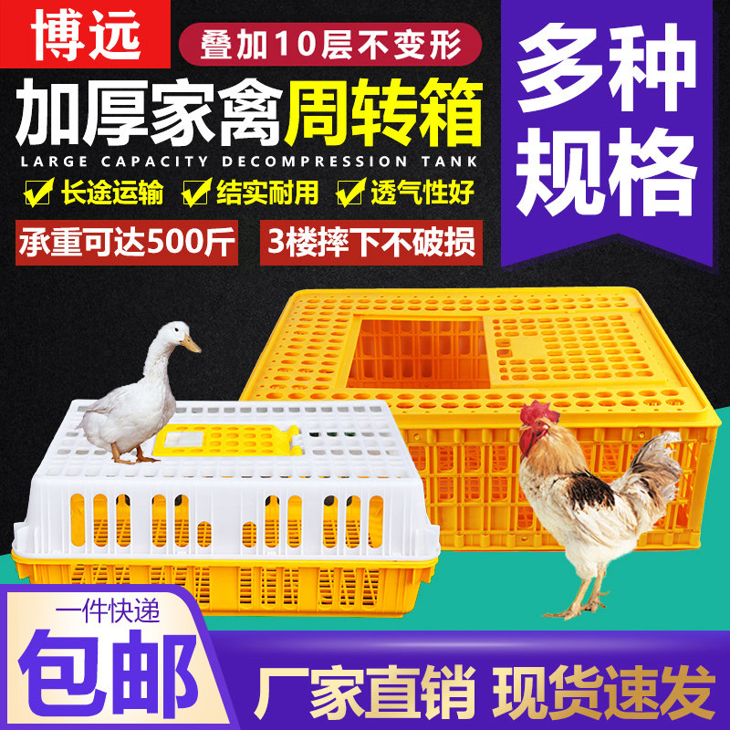 鸡笼周转箱成鸡鸭鹅运输笼塑料笼子家禽周转笼养殖加厚长方形筐子