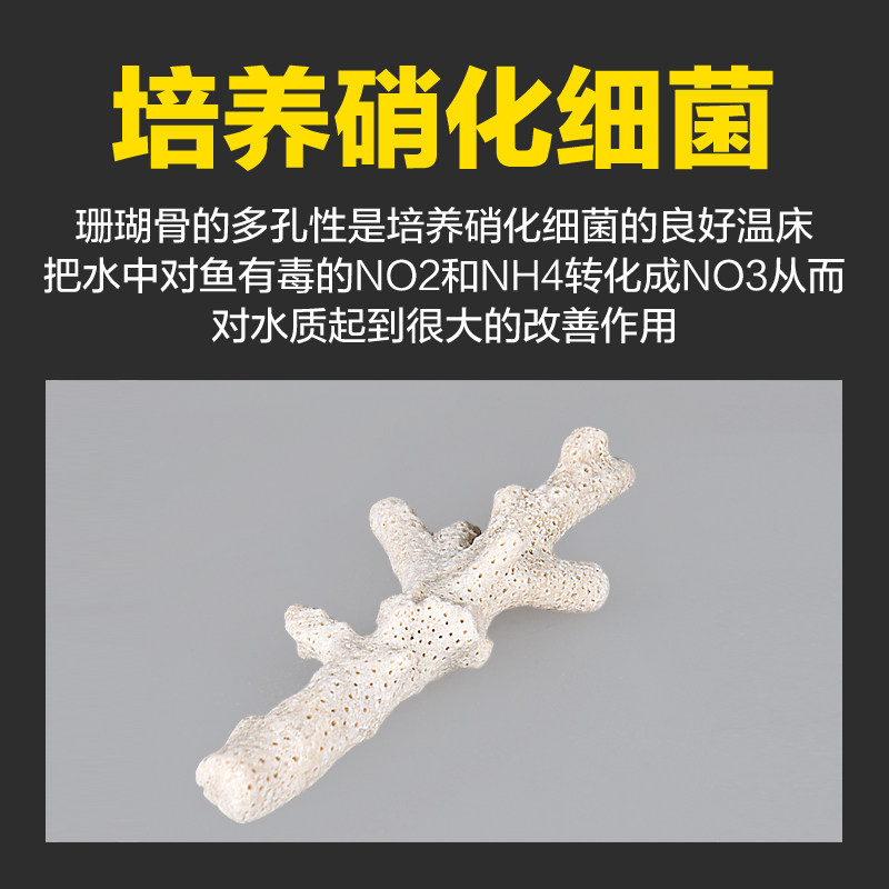 珊瑚骨滤材鱼缸过滤材料大珊瑚石沙鱼池养鱼用品海底砂水族箱造景
